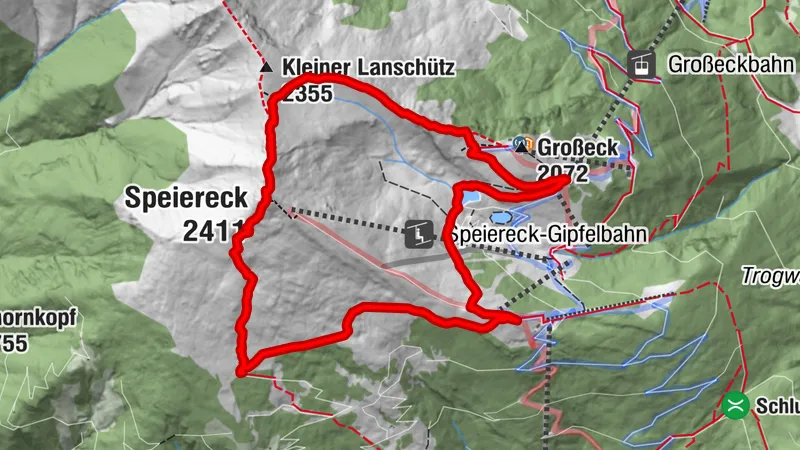 Wald 62 Sommerwanderung