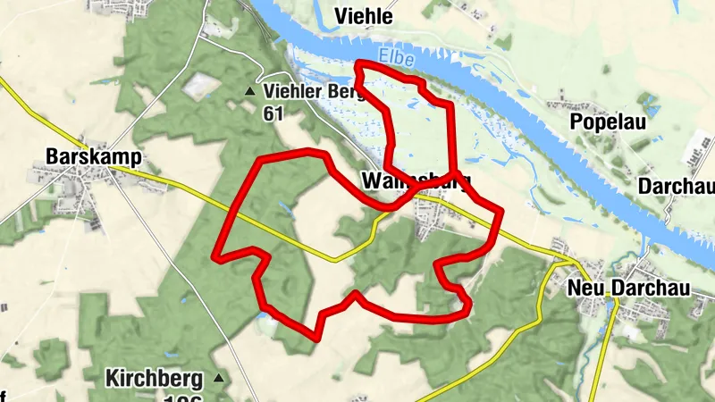 Wanderweg Schieringer Forst