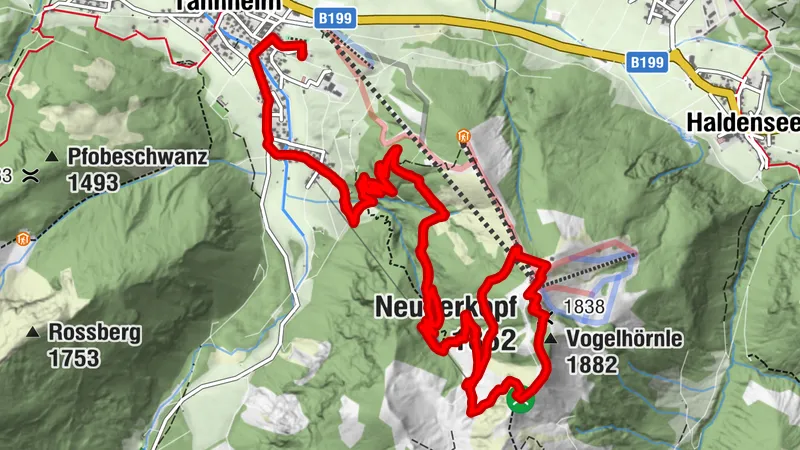 Tannheim - Neunerköpfle über Forstweg und Usseralpe Einkehr (Mit Hund)
