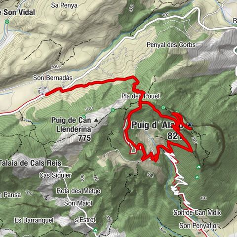 Orient zum Castell de Alaro Rd. 8 km und 500 HM