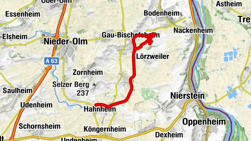 Amiche zum ASV Bodenheim,