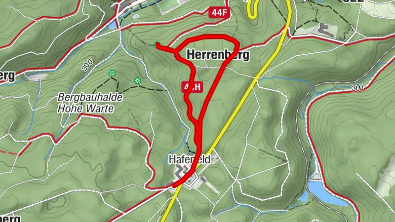Schnupperwalking (Haferfeld | Gernrode) - Gelb