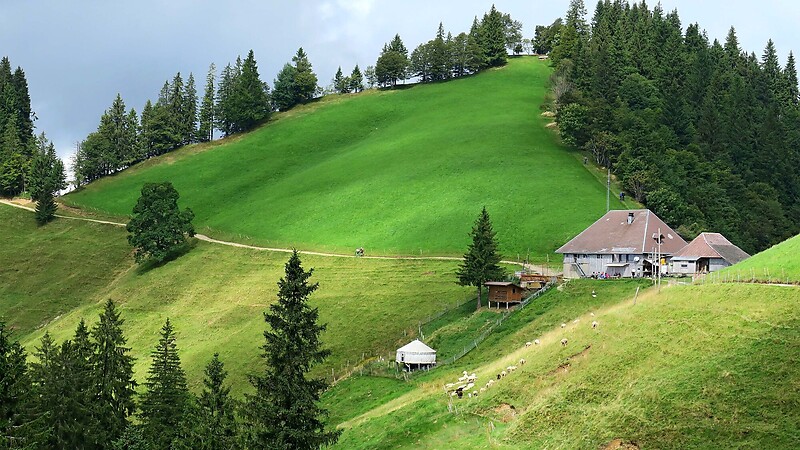 Karte