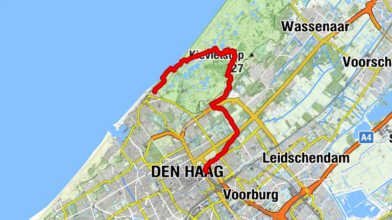 Meijendel > Haagse Bos