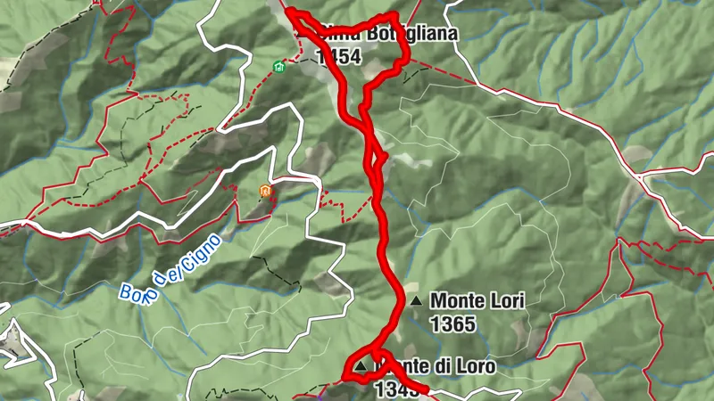 Monte Lori - Spadda nella Rocca via Cime Bottilgliana (Pratomagno)