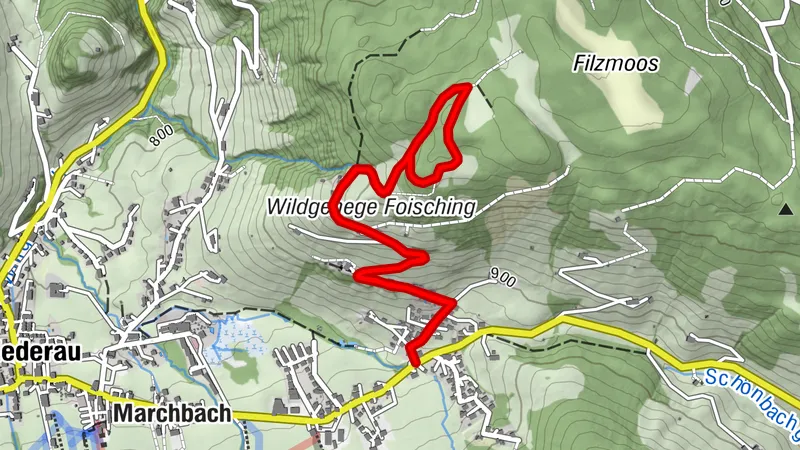Niederau Foisching 