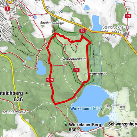 Waldweg des Naturparks Heidenreichsteiner Moor