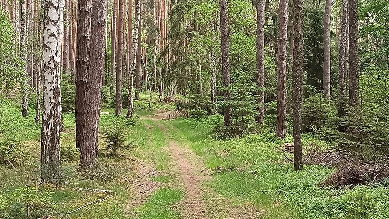 Karte