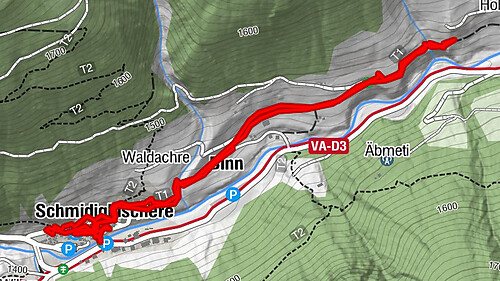 200531 Binn VS Berg Blumen Wanderung