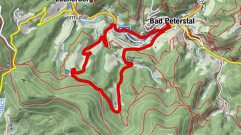 E-Bike Tour: Zum Löcherhansenhof (für Einsteiger)