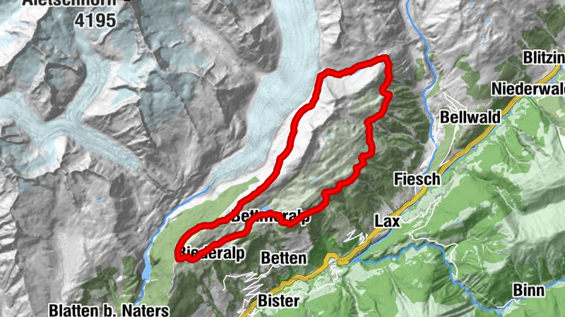 Entlang des Grossen Aletschgletschers, Bettmeralp