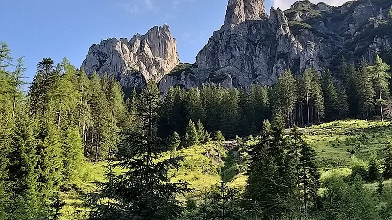 Karte