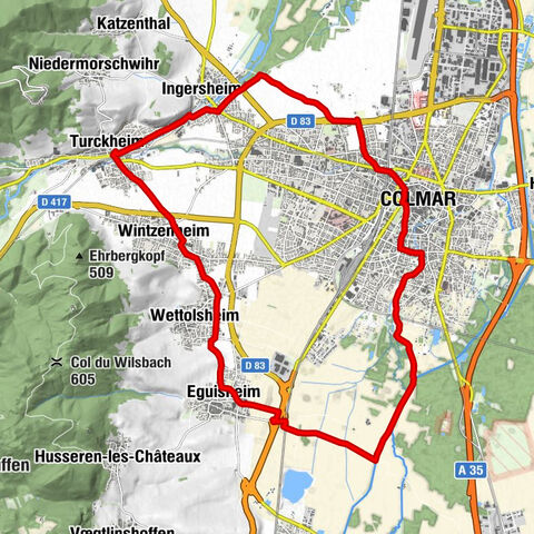 Fahrradstrecke: BL128 - Rund um Colmar, Hauptstadt der elsässischen Weine