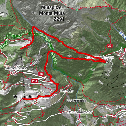 Leiteralm - Hochmuth - Vellau - Rundweg