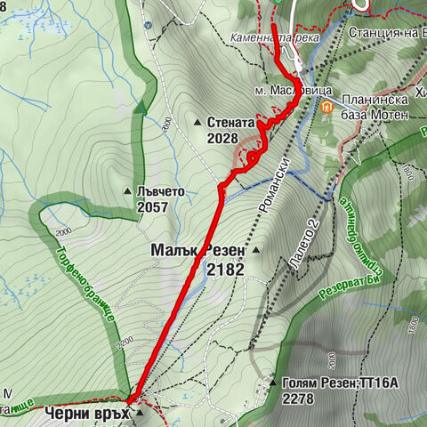 Алеко - Черни Връх